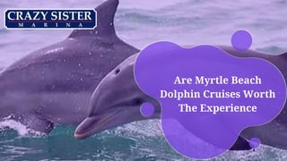 Are Myrtle Beach
Dolphin Cruises Worth
The Experience
 