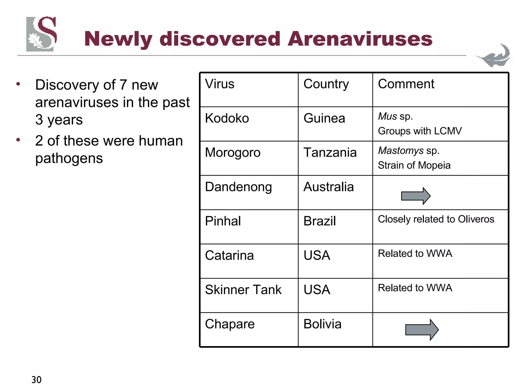 Arenavirus Examples Arenaviruses | PPT