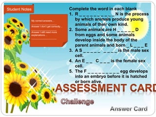 Student Notes 
My correct answers… 
___________________ 
Answer I don’t get correctly… 
___________________ 
Answer I still need more 
explanations… 
___________________ 
Complete the word in each blank 
1. R _ _ _ _ _ _ _ _ _ _ N is the process 
by which animals produce young 
animals of their own kind. 
2. Some animals are H _ _ _ _ _ D 
from eggs and some animals 
develop inside the body of the 
parent animals and born _ L _ _ _ E 
3. A S _ _ _ _ _ _ _ _ _ is the male sex 
cell. 
4. An E _ _ C _ _ _ is the female sex 
cell. 
5. The F _ _ _ _ _ _ _ _ _ egg develops 
into an embryo before it is hatched 
or born alive. 
 