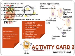 embryo 
Laid as egg or hatched 
alive 
(young organism) 
What to Do: 
1. Analyze the 
development of the 
fertilized egg as 
shown in the 
illustration. 
2. Based on your 
analysis on 
fertilization, answer 
the questions. 
1. Which is the male sex cell? 
S P E R M cell 
2. Which is the female sex cell? 
E G G cell 
3. What is formed when the sex cells unite? 
Z Y G O T E 
4. How would you call the kind of reproduction when 
the sex cells are involved? 
S E X U A L 
5. After the egg had been fertilized, what do you call the 
young organism? 
E M B R Y O 
Egg cell 
(female sex 
cell) 
(male sex 
cell) 
(developing 
egg) 
(fertilized 
egg) 
My correct answers… 
___________________ 
Answer I don’t get correctly… 
___________________ 
Answer I still need more 
explanations… 
___________________ 
 