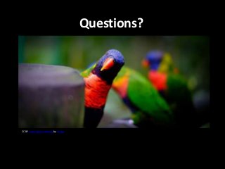 Questions?
CC BY Some rights reserved by mripp
 