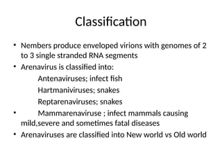 Arenavirus Examples Comprehensive Overview of Arenaviridae: Classification, Pathogenesis ...