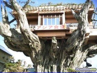 Arenera puenteareas arquitectura