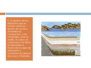 2. La presión de los
depósitos que se
forman sobre los
granos de rocas o
minerales los
compactan, y los
materiales como la
arcilla, el calcio, el
carbonato o la silicia
se precipitan a
través de la capa de
sedimento y
cementan los granos
de roca o minerales.
 