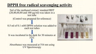 DPPH free radical scavenging activity
3ml of the methanol extract/ standard BHT
(20,40,60,80 and 100 µg/ml) was taken in a
test tube
(Control was prepared for reference)
0.5 ml of 0.1 mM DPPH solution was added to
each test tubes
It was incubated in the dark for 30 minutes at
37ºC
Absorbance was measured at 516 nm using
UV Spectroscopy
 