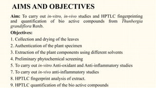 AIMS AND OBJECTIVES
Aim: To carry out in-vitro, in-vivo studies and HPTLC fingerprinting
and quantification of bio active compounds from Thunbergia
grandiflora Roxb.
Objectives:
1. Collection and drying of the leaves
2. Authentication of the plant specimen
3. Extraction of the plant components using different solvents
4. Preliminary phytochemical screening
5. To carry out in-vitro Anti-oxidant and Anti-inflammatory studies
7. To carry out in-vivo anti-inflammatory studies
8. HPTLC fingerprint analysis of extract.
9. HPTLC quantification of the bio active compounds
 