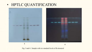 • HPTLC QUANTIFICATION
Fig: 3 and 4 : Sample with six standard levels of B-sitosterol
3 4
 