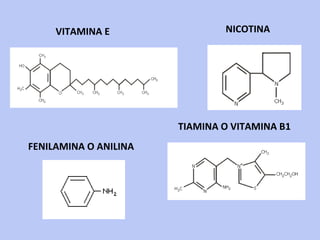 VITAMINA E TIAMINA O VITAMINA B1 NICOTINA FENILAMINA O ANILINA 