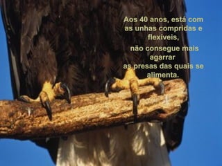Aos 40 anos, está com as unhas compridas e flexíveis, não consegue mais agarrar  as presas das quais se alimenta.   