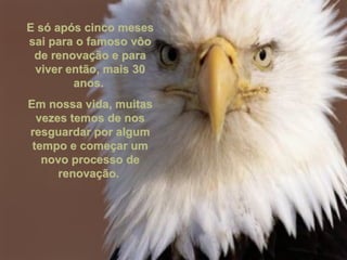 E só após cinco meses sai para o famoso vôo de renovação e para viver então, mais 30 anos.  Em nossa vida, muitas vezes temos de nos resguardar por algum tempo e começar um novo processo de renovação.  