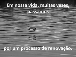 Em nossa vida, muitas vezes, 
passamos 
por um processo de renovação. 
 