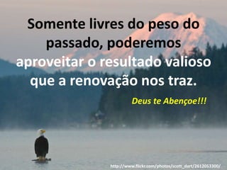 Somente livres do peso do 
passado, poderemos 
aproveitar o resultado valioso 
que a renovação nos traz. 
Deus te Abençoe!!! 
http://www.flickr.com/photos/scott_dart/2612053300/ 
 