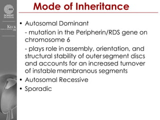 Mode of Inheritance  Autosomal Dominant - mutation in the Peripherin/RDS gene on chromosome 6 - plays role in   assembly, orientation, and structural stability of outer   segment discs and accounts for an increased turnover of instable   membranous segments  Autosomal Recessive  Sporadic  