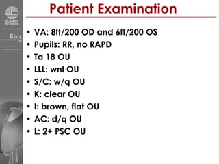 Patient Examination VA: 8ft/200 OD and 6ft/200 OS Pupils: RR, no RAPD Ta 18 OU LLL: wnl OU S/C: w/q OU K: clear OU I: brown, flat OU AC: d/q OU L: 2+ PSC OU 