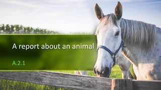 A report about an animal
A.2.1
 