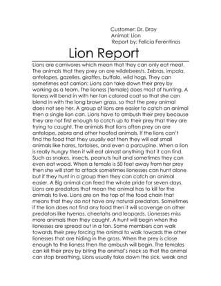 Customer: Dr. Dray
Animal: Lion
Report by: Felicia Ferentinos
Lion Report
Lions are carnivores which mean that they can only eat meat.
The animals that they prey on are wildebeests, Zebras, impala,
antelopes, gazelles, giraffes, buffalo, wild hogs. They can
sometimes eat carrion; Lions can take down their prey by
working as a team. The lioness (female) does most of hunting. A
lioness will bend in with her tan colored coat so that she can
blend in with the long brown grass, so that the prey animal
does not see her. A group of lions are easier to catch an animal
then a single lion can. Lions have to ambush their prey because
they are not first enough to catch up to their prey that they are
trying to caught. The animals that lions often prey on are
antelope, zebra and other hoofed animals. If the lions can’t
find the food that they usually eat then they will eat small
animals like hares, tortoises, and even a porcupine. When a lion
is really hungry then it will eat almost anything that it can find,
Such as snakes, insects, peanuts fruit and sometimes they can
even eat wood. When a female is 50 feet away from her prey
then she will start to attack sometimes lionesses can hunt alone
but if they hunt in a group then they can catch an animal
easier. A Big animal can feed the whole pride for seven days.
Lions are predators that mean the animal has to kill for the
animals to live. Lions are on the top of the food chain that
means that they do not have any natural predators. Sometimes
if the lion does not find any food then it will scavenge on other
predators like hyenas, cheetahs and leopards. Lionesses miss
more animals then they caught. A hunt will begin when the
lionesses are spread out in a fan. Some members can walk
towards their prey forcing the animal to walk towards the other
lionesses that are hiding in the grass. When the prey is close
enough to the lioness then the ambush will begin. The females
can kill their prey by biting the animal’s neck so that the animal
can stop breathing. Lions usually take down the sick, weak and
 
