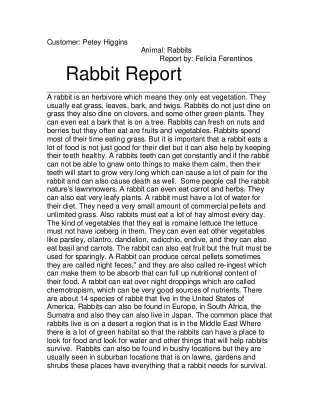 A report about rabbits