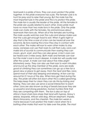 teamwork is a pride of lions. They can even protect the pride
together. In the pride everyone has a job. The female’s job is to
hunt for prey and to raise their young. But the male has the
most important job in the pride and this is to protect the pride.
The male lion is usually the leader of the pride. All the females in
the pride are usually related to each other. Every pride must
have no more than two male lions in the pride. Only the pride
male can mate with the females. No animal knows about
teamwork then lions do. When all of the females are hunting.
The male usually watches over the cubs and always make sure
that the cubs get enough food to eat. When it gets night or
day that is the time a roar of a lion can be heard all over the
savanna. By lions roaring this is how they stay in contact with
each other. The males will roar to warn other males to stay
away. Lionesses can use their roars to call their cubs, Lions can
make lots of sounds to communicate then roaring they can
moan, grunt, snarl, and they can also growl. A lion’s roar can
be heard over 5 miles away. Both male and female can roar
but the male’s roar is much deeper. A male lion will usually roar
after the sunset. A male can roar about five miles (eight
kilometers) away. They can also use their roar to warn intruders
and round up the stray member of the pride. Lions are really
good at climbing they can sometimes can go up a tree for a
good view or place to get away. From the heat and flies. Lions
spend most of their day sleeping and relaxing. Al lion can lay
around for 21 hours of the day. When lions get tried during the
day. The pride will often lick each other this is called grooming.
This helps keep their fur clean they can do this by licking and
fleeing. They can also use serve a social interaction to each
other. Lions are also known as king of beasts because they are
so powerful and strong predators. Human hunters think that
they are competing with them. The lion is also on top of
Africa’s food chain lions share their land with hyenas, Gravy’s
zebras, leopards, African wild dog, African elephant, Impala,
Black rhinoceros, and the cheetah. The male lion wears a
mane because it can protect the male’s neck when he is
batting other males that want to take over the pride. The most
 