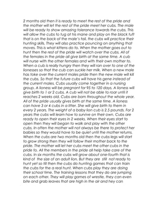 2 months old then it is ready to meet the rest of the pride and
the mother will let the rest of the pride meet her cubs. The male
will be ready to show amazing tolerance towards the cubs. This
will allow the cubs to tug at his mane and play on the black tuft
that is on the back of the male’s tail, the cubs will practice their
hunting skills. They will also practice pouncing on anything that
moves. This is what kittens do to. When the mother goes out to
hunt then the rest of the pride will watch over the cubs. All of
the females in the pride all give birth at the same time. A cub
will nurse with the other females and with their own mother to.
When a cub is really hungry then they will ran over to one of the
lionesses so that the cub can suckle her milk. When a new male
has toke over the current males pride then the new male will kill
the cubs. So that the future cubs will have his gene instead of
the current males. Cubs usually come together in a nursing
group. A lioness will be pregnant for 95 to 120 days. A lioness will
give birth to 1 or 2 cubs. A cub will not be able to roar until it
reaches 2 weeks old. Cubs are born throughout the whole year.
All of the pride usually gives birth at the same time. A lioness
can have 3 or 4 cubs in a litter. She will give birth to them in
every 2 years. The weight of a baby lion cub is 2.5 pounds. For 2
years the cubs will learn how to survive on their own. Cubs are
ready to open their eyes in 2 weeks. When their eyes start to
open then they will began to walk and play with the other
cubs. In often the mother will not always be there to protect her
babies so they would have to be quiet until the mother returns.
When the cubs are two months old then the cubs legs will start
to grow strong then they will follow their mother back to the
pride. The mother will let her cubs meet the other cubs in the
pride to. All the members in the pride all help take care of the
cubs. In six months the cubs will grow about one-fourth that is
kind of the size of an adult lion. But they are still not ready to
hunt yet so till then the cubs do hunting games that can train
the cubs for the a real hunt. When cubs play they are doing
their school time. The training lessons that they do are jumping
on each other. They will play games of wrestle, they can even
bite and grab leaves that are high in the air and hey can
 