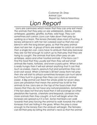 Customer: Dr. Dray
Animal: Lion
Report by: Felicia Ferentinos
Lion Report
Lions are carnivores which mean that they can only eat meat.
The animals that they prey on are wildebeests, Zebras, impala,
antelopes, gazelles, giraffes, buffalo, wild hogs. They can
sometimes eat carrion; Lions can take down their prey by
working as a team. The lioness (female) does most of hunting. A
lioness will bend in with her tan colored coat so that she can
blend in with the long brown grass, so that the prey animal
does not see her. A group of lions are easier to catch an animal
then a single lion can. Lions have to ambush their prey because
they are not first enough to catch up to their prey that they are
trying to caught. The animals that lions often prey on are
antelope, zebra and other hoofed animals. If the lions can’t
find the food that they usually eat then they will eat small
animals like hares, tortoises, and even a porcupine. When a lion
is really hungry then it will eat almost anything that it can find,
Such as snakes, insects, peanuts fruit and sometimes they can
even eat wood. When a female is 50 feet away from her prey
then she will start to attack sometimes lionesses can hunt alone
but if they hunt in a group then they can catch an animal
easier. A Big animal can feed the whole pride for seven days.
Lions are predators that mean the animal has to kill for the
animals to live. Lions are on the top of the food chain that
means that they do not have any natural predators. Sometimes
if the lion does not find any food then it will scavenge on other
predators like hyenas, cheetahs and leopards. Lionesses miss
more animals then they caught. A hunt will begin when the
lionesses are spread out in a fan. Some members can walk
towards their prey forcing the animal to walk towards the other
lionesses that are hiding in the grass. When the prey is close
enough to the lioness then the ambush will begin. The females
can kill their prey by biting the animal’s neck so that the animal
 