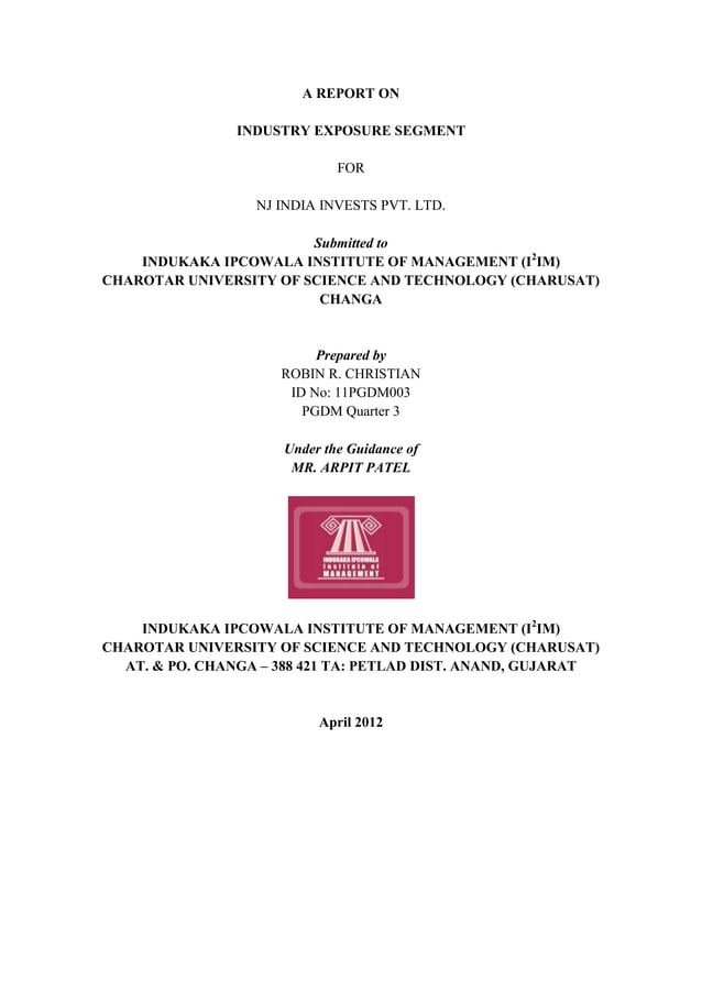 A report on nj india investment PDF