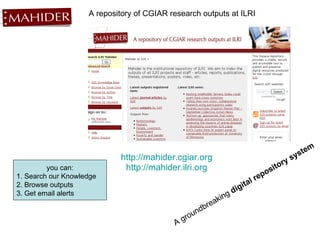 A repository of CGIAR research outputs at ILRI http://mahider.cgiar.org http://mahider.ilri.org you can: 1. Search our Knowledge 2. Browse outputs 3. Get email alerts A groundbreaking  digital repository system   