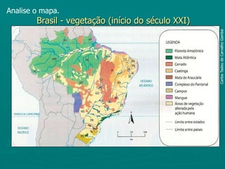 Analise o mapa.Brasil - vegetação (início do século XXI)Carlos Tadeu de Carvalho Gamba