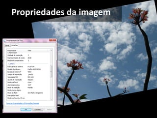 Propriedades da imagem
 