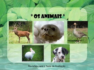 “ Os animais ” Revisões para o Teste de Avaliação 