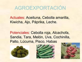 AGROEXPORTACIÓN
Actuales: Aceituna, Cebolla amarilla,
Kiwicha, Ajo, Páprika, Leche.
Potenciales: Cebolla roja, Alcachofa,
Sandia, Tara, Melón, Uva, Cochinilla,
Palto, Lúcuma, Pisco, Habas
 