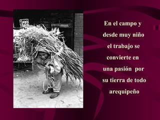 En el campo y  desde muy niño el trabajo se convierte en  una pasión  por su tierra de todo arequipeño 