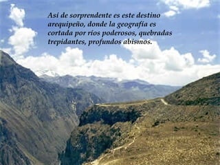 Así de sorprendente es este destino arequipeño, donde la geografía es  cortada por ríos poderosos, quebradas trepidantes ,  profundos abismo s.  