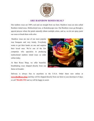ARE RAINBOW ROSES REAL?
Our rainbow roses are 100% real and cut straight from our farm. Rainbow roses are also called
Rainbow tinted roses, Multicolored rose, or Kaleidoscope rose. Our Rainbow roses go through a
special process where the petals naturally obtain multiple colors, and so, we do not spray paint
our roses or brush them with color.
Rainbow roses are one of our most popular
rose bouquets and very trendy. Everybody
wants to get their hands on one and surprise
their loved ones. We’re one of the few
companies who specialize in producing
multicolored rainbow tinted roses so order
online today.
At Best Roses Shop, we offer beautiful,
breathtaking roses shipped directly from our
farms in Ecuador.
Delivery is always free to anywhere in the U.S.A. Order them now online at
www.BestRoses.shop and they will be shipped directly from our farm to your doorstep in 4 days
or call 786.600.1703 and we will be happy to assist.
 