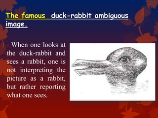 The famous duck-rabbit ambiguous
image.
 When one looks at
the duck-rabbit and
sees a rabbit, one is
not interpreting the
picture as a rabbit,
but rather reporting
what one sees.
 