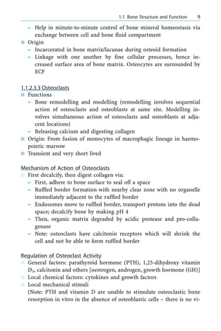 ± Help in minute-to-minute control of bone mineral homeostasis via
exchange between cell and bone fluid compartment
n Origin
± Incarcerated in bone matrix/lacunae during osteoid formation
± Linkage with one another by fine cellular processes, hence in-
creased surface area of bone matrix. Osteocytes are surrounded by
ECF
1.1.2.3.3 Osteoclasts
n Functions
± Bone remodelling and modelling (remodelling involves sequential
action of osteoclasts and osteoblasts at same site. Modelling in-
volves simultaneous action of osteoclasts and osteoblasts at adja-
cent locations)
± Releasing calcium and digesting collagen
n Origin: From fusion of monocytes of macrophagic lineage in haemo-
poietic marrow
n Transient and very short lived
Mechanism of Action of Osteoclasts
n First decalcify, then digest collagen via:
± First, adhere to bone surface to seal off a space
± Ruffled border formation with nearby clear zone with no organelle
immediately adjacent to the ruffled border
± Endosomes move to ruffled border, transport protons into the dead
space; decalcify bone by making pH 4
± Then, organic matrix degraded by acidic protease and pro-colla-
genase
± Note: osteoclasts have calcitonin receptors which will shrink the
cell and not be able to form ruffled border
Regulation of Osteoclast Activity
n General factors: parathyroid hormone (PTH), 1,25-dihydroxy vitamin
D3, calcitonin and others [oestrogen, androgen, growth hormone (GH)]
n Local chemical factors: cytokines and growth factors
n Local mechanical stimuli
(Note: PTH and vitamin D are unable to stimulate osteoclastic bone
resorption in vitro in the absence of osteoblastic cells ± there is no vi-
a 1.1 Bone Structure and Function 9
 