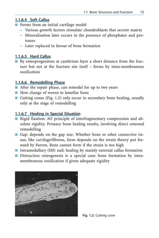 1.1.6.4 Soft Callus
n Forms from an initial cartilage model
± Various growth factors stimulate chondroblasts that secrete matrix
± Mineralisation later occurs in the presence of phosphates and pro-
teases
± Later replaced in favour of bone formation
1.1.6.5 Hard Callus
n By osteoprogenitors at cambrium layer a short distance from the frac-
ture but not at the fracture site itself ± forms by intra-membranous
ossification
1.1.6.6 Remodelling Phase
n After the repair phase, can remodel for up to two years
n Slow change of woven to lamellar bone
n Cutting cones (Fig. 1.2) only occur in secondary bone healing, usually
only at the stage of remodelling
1.1.6.7 Healing in Special Situation
n Rigid fixation: AO principle of interfragmentary compression and ab-
solute rigidity. Primary bone healing results, involving direct osteonal
remodelling
n Gap: depends on the gap size. Whether bone or other connective tis-
sue, like cartilage/fibrous, form depends on the strain theory put for-
ward by Parren. Bone cannot form if the strain is too high
n Intramedullary (IM) nail: healing by mainly external callus formation
n Distraction osteogenesis is a special case: bone formation by intra-
membranous ossification if given adequate rigidity
a 1.1 Bone Structure and Function 15
Fig. 1.2. Cutting cone
 