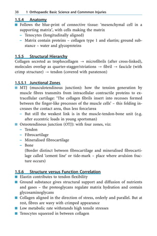 1.5.4 Anatomy
n Follows the blue-print of connective tissue: `mesenchymal cell in a
supporting matrix', with cells making the matrix
± Tenocytes (longitudinally aligned)
± Matrix contain proteins ± collagen type 1 and elastin; ground sub-
stance ± water and glycoproteins
1.5.5 Structural Hierarchy
Collagen secreted as trophocollagen ? microfibrils (after cross-linked),
molecules overlap as quarter-stagger/striations ? fibril ? fascicle (with
crimp structure) ? tendon (covered with paratenon)
1.5.5.1 Junctional Zones
n MTJ (musculotendinous junction): how the tension generation by
muscle fibres transmits from intracellular contractile proteins to ex-
tracellular cartilage: `The collagen fibrils insert into recesses formed
between the finger-like processes of the muscle cells' ± this folding in-
creases the contact area, thus less force/area
± But still the weakest link is in the muscle-tendon-bone unit (e.g.
after eccentric loads in young sportsman)
n Osteotendinous junction (OTJ): with four zones, viz:
± Tendon
± Fibrocartilage
± Mineralised fibrocartilage
± Bone
(Border distinct between fibrocartilage and mineralised fibrocarti-
lage called `cement line' or tide-mark ± place where avulsion frac-
ture occurs)
1.5.6 Structure versus Function Correlation
n Elastin contributes to tendon flexibility
n Ground substance gives structural support and diffusion of nutrients
and gases ± the proteoglycans regulate matrix hydration and contain
glycosaminoglycans
n Collagen aligned in the direction of stress, orderly and parallel. But at
rest, fibres are wavy with crimped appearance
n Low metabolic rate withstands high tensile stresses
n Tenocytes squeezed in between collagen
38 1 Orthopaedic Basic Science and Commmon Injuries
 