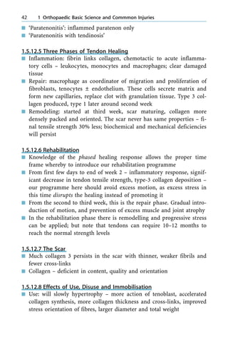 n `Paratenonitis': inflammed paratenon only
n `Paratenonitis with tendinosis'
1.5.12.5 Three Phases of Tendon Healing
n Inflammation: fibrin links collagen, chemotactic to acute inflamma-
tory cells ± leukocytes, monocytes and macrophages; clear damaged
tissue
n Repair: macrophage as coordinator of migration and proliferation of
fibroblasts, tenocytes Ô endothelium. These cells secrete matrix and
form new capillaries, replace clot with granulation tissue. Type 3 col-
lagen produced, type 1 later around second week
n Remodeling: started at third week, scar maturing, collagen more
densely packed and oriented. The scar never has same properties ± fi-
nal tensile strength 30% less; biochemical and mechanical deficiencies
will persist
1.5.12.6 Rehabilitation
n Knowledge of the phased healing response allows the proper time
frame whereby to introduce our rehabilitation programme
n From first few days to end of week 2 ± inflammatory response, signif-
icant decrease in tendon tensile strength, type-3 collagen deposition ±
our programme here should avoid excess motion, as excess stress in
this time disrupts the healing instead of promoting it
n From the second to third week, this is the repair phase. Gradual intro-
duction of motion, and prevention of excess muscle and joint atrophy
n In the rehabilitation phase there is remodelling and progressive stress
can be applied; but note that tendons can require 10±12 months to
reach the normal strength levels
1.5.12.7 The Scar
n Much collagen 3 persists in the scar with thinner, weaker fibrils and
fewer cross-links
n Collagen ± deficient in content, quality and orientation
1.5.12.8 Effects of Use, Disuse and Immobilisation
n Use: will slowly hypertrophy ± more action of tenoblast, accelerated
collagen synthesis, more collagen thickness and cross-links, improved
stress orientation of fibres, larger diameter and total weight
42 1 Orthopaedic Basic Science and Commmon Injuries
 