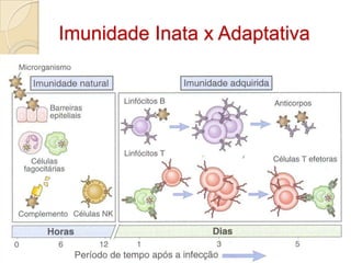 Imunidade Inata x Adaptativa
 
