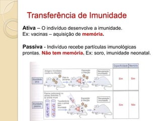 Transferência de Imunidade
Ativa – O indivíduo desenvolve a imunidade.
Ex: vacinas – aquisição de memória.

Passiva - Indivíduo recebe partículas imunológicas
prontas. Não tem memória. Ex: soro, imunidade neonatal.
 