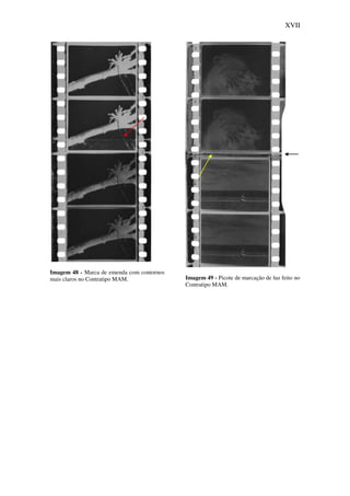 XVII
Imagem 48 - Marca de emenda com contornos
mais claros no Contratipo MAM. Imagem 49 - Picote de marcação de luz feito no
Contratipo MAM.
 