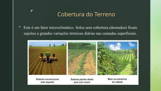 z
Cobertura do Terreno
 Este é um fator microclimático. Solos sem cobertura (desnudos) ficam
sujeitos a grandes variações térmicas diárias nas camadas superficiais.
 