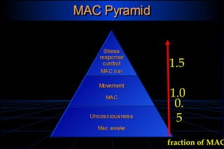 Servizio di Anestesia e Rianimazione Ospedale di Faenza(RA) fraction of MAC
0.
5
1.0
1.5
 
