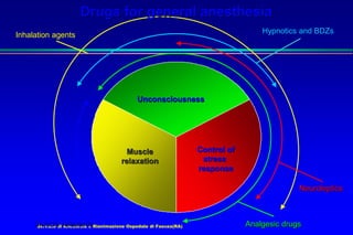Servizio di Anestesia e Rianimazione Ospedale di Faenza(RA)
Muscle
relaxation
Control of
stress
response
Unconsciousness
Inhalation agents
Muscle relaxants Analgesic drugs
Neuroleptics
Hypnotics and BDZs
Drugs for general anesthesia
 