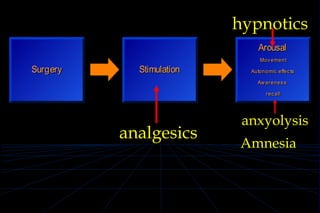 Servizio di Anestesia e Rianimazione Ospedale di Faenza(RA)
SurgerySurgery StimulationStimulation
ArousalArousal
Mov ementMov ement
Autonomic effec tsAutonomic effec ts
Aw arenes sAw arenes s
rec allrec all
analgesics
hypnotics
anxyolysis
Amnesia
 