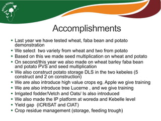 Accomplishments 
 Last year we have tested wheat, faba bean and potato 
demonstration 
 We select two variety from wheat and two from potato 
 Based on this we made seed multiplication on wheat and potato 
 On second/this year we also made on wheat barley faba bean 
and potato PVS and seed multiplication 
 We also construct potato storage DLS in the two kebeles (5 
construct and 2 on construction) 
 We are also introduce high value crops eg. Apple we give training 
 We are also introduce tree Lucerne , and we give training 
 Irrigated fodder/Vetch and Oats/ Is also introduced 
 We also made the IP platform at woreda and Kebelle level 
 Yield gap (ICRISAT and CIAT) 
 Crop residue management (storage, feeding trough) 
 