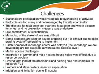 Challenges 
 Stakeholders participation was limited due to overlapping of activities 
 Protocols are too many and not managed by the site coordinator 
 The disease for faba bean last year and faba bean and wheat disease 
for wheat and no prevention measure was undertaken 
 Low commitment of stakeholders 
 Managing of the stakeholders was difficult 
 Some protocols are sent for double cropping but it is difficult due to open 
grazing system/free grazing to implement 
 Establishment of knowledge center was delayed (the knowledge we are 
developing are not available at woreda and Kebelle level) 
 Market access challenges 
 Integration of women and male headed house holds was difficult due to 
resource problem 
 Limited farm land of the area/small land holding size and complain for 
research/PVS 
 Framers and stakeholders incentive expectation 
 Irrigation land limitation due to Ensosula 
 