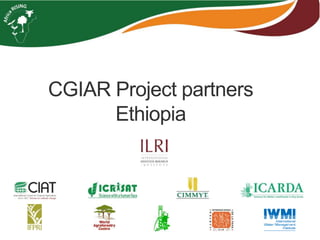 CGIAR Project partners 
Ethiopia 
 