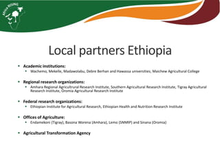 Local partners Ethiopia 
 Academic institutions: 
 Wachemo, Mekelle, Madawolabu, Debre Berhan and Hawassa universities; Maichew Agricultural College 
 Regional research organizations: 
 Amhara Regional Agricultrural Research Institute, Southern Agricultural Research Institute, Tigray Agricultural 
Research Institute, Oromia Agricultural Research Institute 
 Federal research organizations: 
 Ethiopian Institute for Agricultural Research, Ethiopian Health and Nutrition Research Institute 
 Offices of Agriculture: 
 Endamekoni (Tigray), Basona Worena (Amhara), Lemo (SNNRP) and Sinana (Oromia) 
 Agricultural Transformation Agency 
 