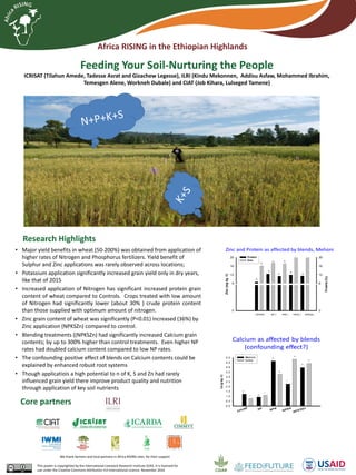 Africa RISING in the Ethiopian Highlands
Core partners
Research Highlights
• Major yield benefits in wheat (50-200%) was obtained from application of
higher rates of Nitrogen and Phosphorus fertilizers. Yield benefit of
Sulphur and Zinc applications was rarely observed across locations;
• Potassium application significantly increased grain yield only in dry years,
like that of 2015
• Increased application of Nitrogen has significant increased protein grain
content of wheat compared to Controls. Crops treated with low amount
of Nitrogen had significantly lower (about 30% ) crude protein content
than those supplied with optimum amount of nitrogen.
• Zinc grain content of wheat was significantly (P<0.01) increased (36%) by
Zinc application (NPKSZn) compared to control.
• Blending treatments ((NPKSZn) had significantly increased Calcium grain
contents; by up to 300% higher than control treatments. Even higher NP
rates had doubled calcium content compared to low NP rates.
• The confounding positive effect of blends on Calcium contents could be
explained by enhanced robust root systems
• Though applicatiois a high potential to n of K, S and Zn had rarely
influenced grain yield there improve product quality and nutrition
through application of key soil nutrients
Feeding Your Soil-Nurturing the People
ICRISAT (Tilahun Amede, Tadesse Asrat and Gizachew Legesse), ILRI (Kindu Mekonnen, Addisu Asfaw, Mohammed Ibrahim,
Temesgen Alene, Workneh Dubale) and CIAT (Job Kihara, Lulseged Tamene)
Africa RISING sites in Ethiopia
This poster is copyrighted by the International Livestock Research Institute (ILRI). It is licensed for
use under the Creative Commons Attribution 4.0 International Licence. November 2016
We thank farmers and local partners in Africa RISING sites for their support
 